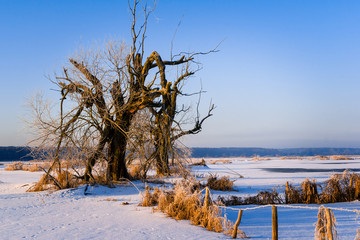 Dolina Górnej Narwi © podlaski49