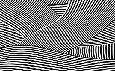 2676852 Zebra Design Black and White Stripes Vector