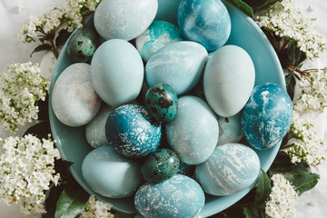 Fototapeta na wymiar Naturally dyed Easter blue eggs, surrounded by white flowers.