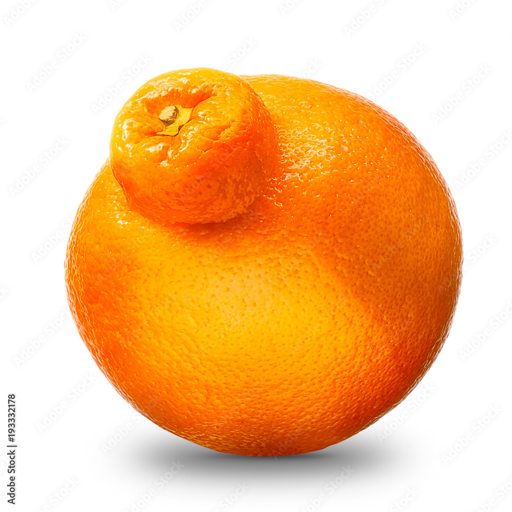 Wall mural single mandarin or tangerine citrus fruit isolated on white background with clipping path and shiny  - Wall murals