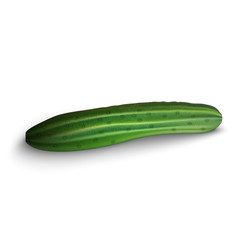 Cucumber isolated on white background