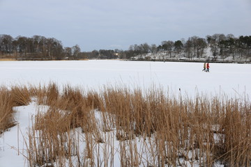 Winter am See