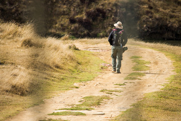 Obraz premium Curvas del camino