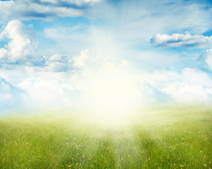 Spring background. Grass and sky