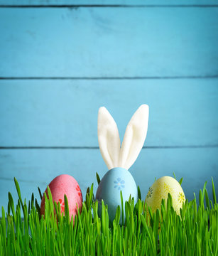 Easter funny bunny on green grass with easter eggs. Easter background.