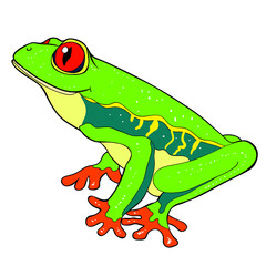 woody frog is red-eyed. illustration