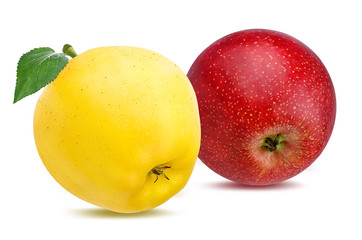 Fresh apple isolated on white background with clipping path