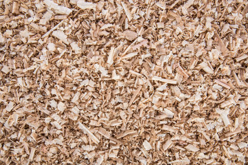 Wooden shavings, background and texture, black and white toning