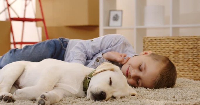 Close up of the cute little boywaking up on the floor covered with a carpet near his labrador puppy in the cozy room full. Indoor