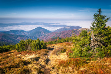 Mountainous country with valleys, the national park Mala Fatra in northern Slovakia, Europe.