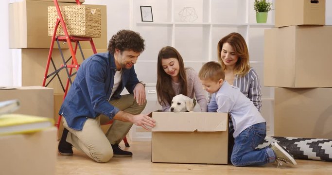 Happy family sitting around the carton box and taking out a puppy of the box among many boxes with packed stuff. Close up. Moving in the new apartment. Indoors