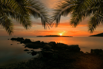 A sunrise in Ibiza with a frame of palm leaves