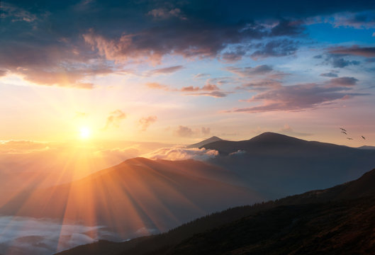 Panoramic landscape of mountains at sunrise. View on covered by forest foggy hills.Traveling concept background.