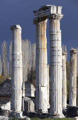 Aphrodisias Ancient City Columns