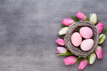 Pink tulip with pink eggs nest on a gray background. Easter greetings card.