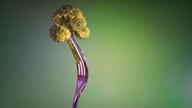 broccoli on a fork on a green background with drops of water, rotation