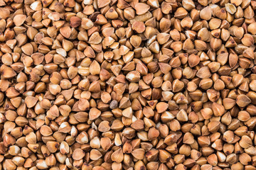  texture buckwheat groats close-up. Pile of buckwheat groats, top view