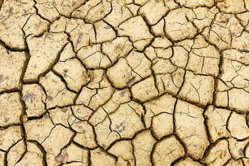 Cracked dry soil after disaster