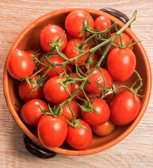 pomodori freschi ovali per salsa