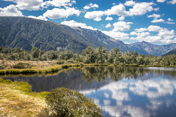 alpine landscape, forest, lake with reflection, lewis pass, new zealand