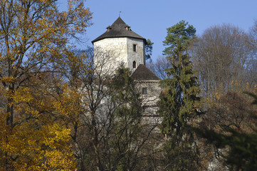 Obraz premium Castle In The Forest with Trees with Golden Dry Leaves