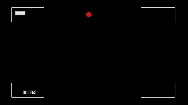 Video Camera Viewfinder (digital overlay display) - 4K 17