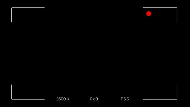 Video Camera Viewfinder (digital overlay display) - 4K 11