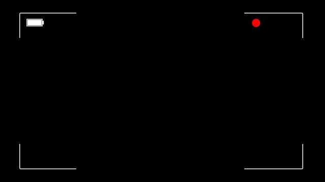 Video Camera Viewfinder (digital overlay display) - 4K 7