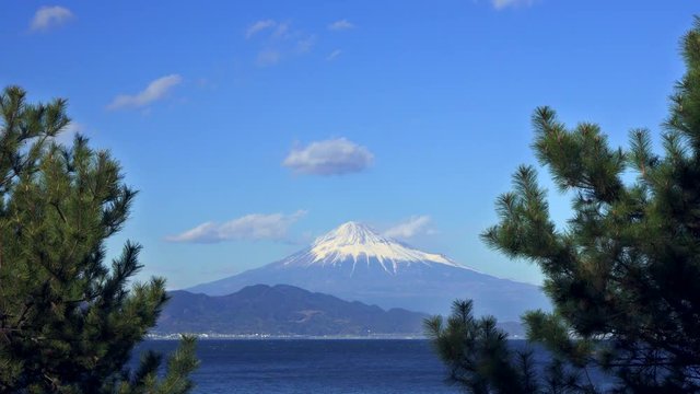 静岡県三保海岸から海、松林と駿河湾越しに富士山を望む。冬の晴れの日の午後