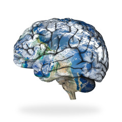 World Alzheimer’s day concept: brain of earth isolated on white background. Elements of this...