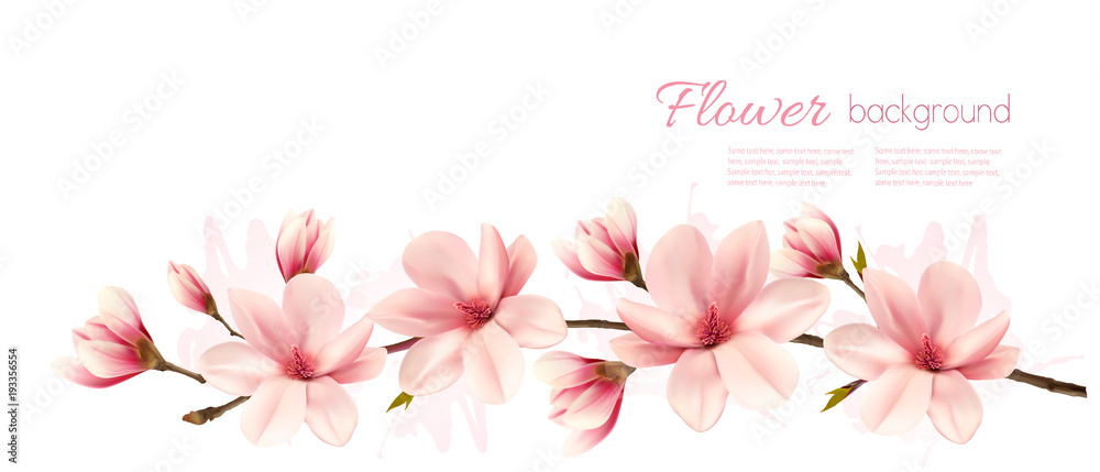 Aufkleber nature spring background with beautiful magnolia branches. vector.