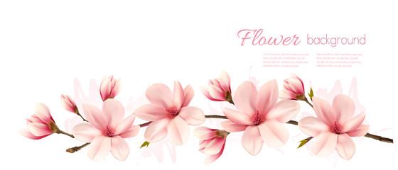 Fototapeta premium Tło wiosna natura z pięknych gałęzi magnolii. Wektor.