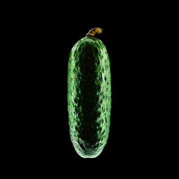 Cucumber  isolated