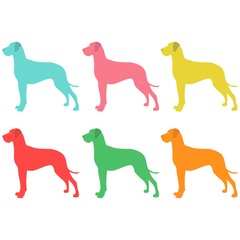 six colorful silhouettes of a Dog