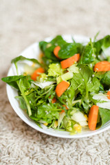 Healthy Vegetarian Vegetable Salad, Delicious Vegan Meal