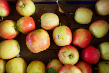 Organic Apples
