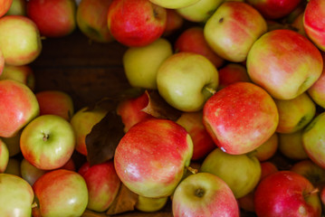Raw Apples