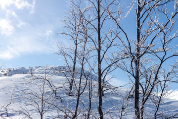 winter ski resort in Alps