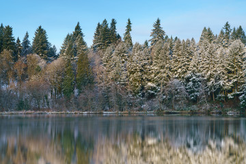 Snow On the Evergreens Down By The Cove