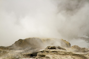 Steam from erupting geyser in Upper Geyser Basin, Yellowstone National Park
