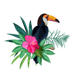 Bird toucan on branch with green tropical palm leaves and hibiscus flower. Vector hand drawn illustration isolated on white background.