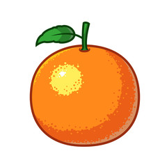 Orange fruit vector