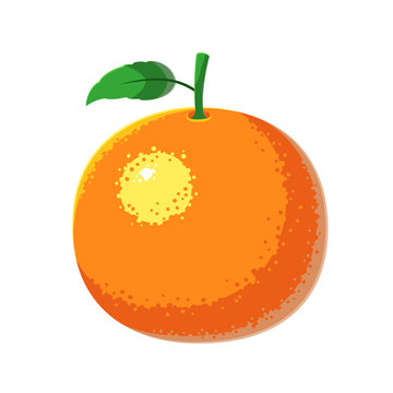 Orange fruit vector