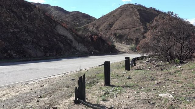 Burn zone in La Tuna Canyon near Los Angeles a couple months after wildfires

