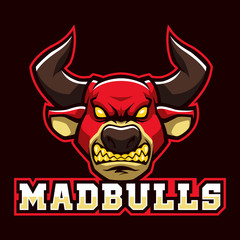 Mad bulls sign and symbol logo vector