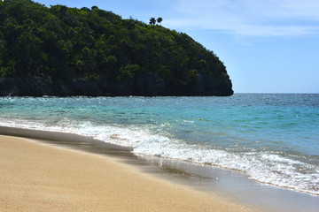 Paradise beach in Caribbean with gold sand and blue water
