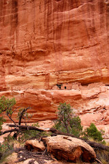 Ancient Anizazi ruins perched on canyon wall in southern Utah Canyon country.