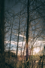 Obraz premium Low Sun - Alaska