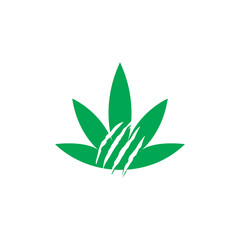 Canadian Scratch Logo Element