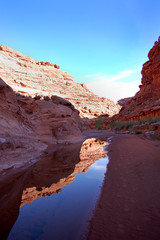 Fototapeta na wymiar Reflection of sky in still water in a desert canyon in the bears ears area in Southern Utah.